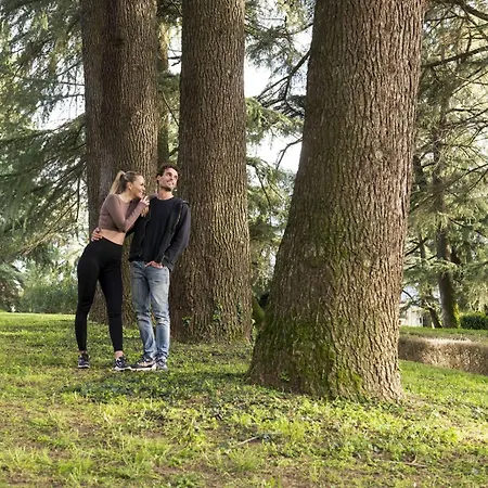 Delle Rose Terme & Wellnesspa Hotel 4*